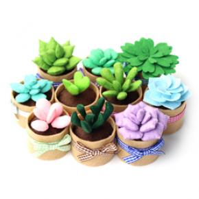 Non-woven Fabric Succulents Plant Supplies Needle Sewing Kit