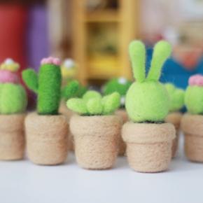 Cactus Wool Roving Needle Felting Kit Supplies