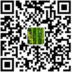 the qr code